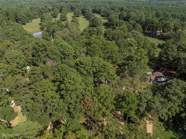 a view of a forest with a street