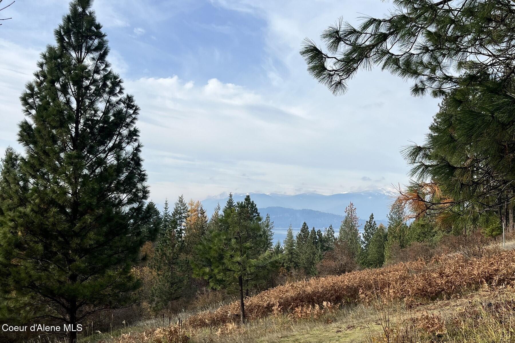 480 Sunnyside Ridge Road Sandpoint, ID 83864 - Photo 75 of 81 _View