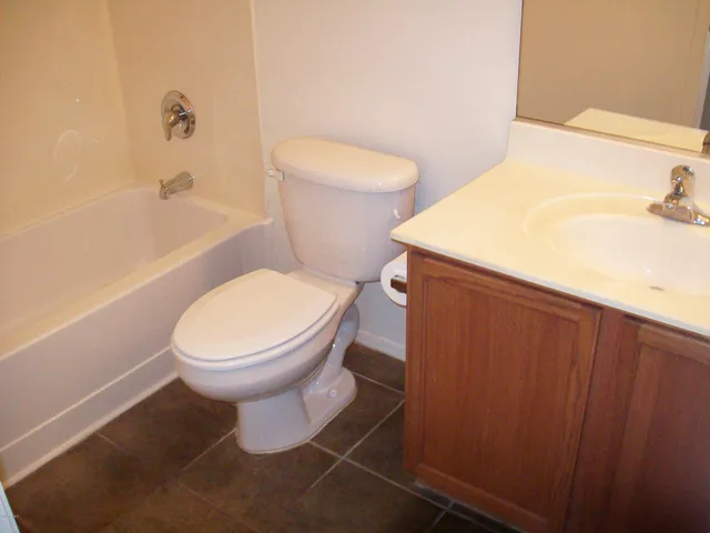 a white toilet sitting next to a bath tub