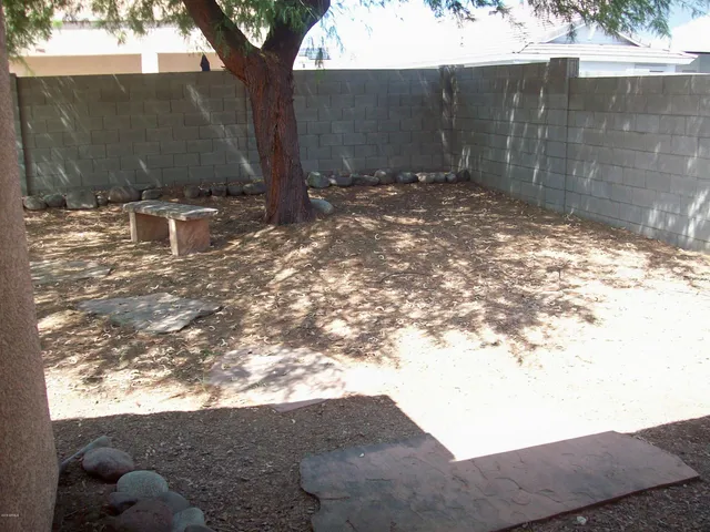 a view of a yard with a tree