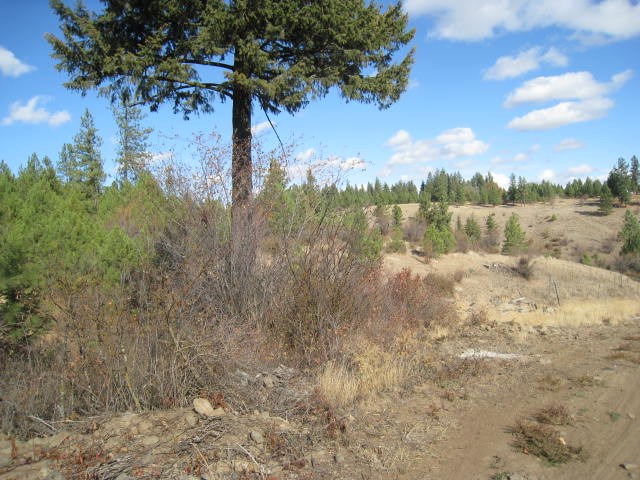621 East Washington Road Spokane, WA 99224 - Photo 14 of 20