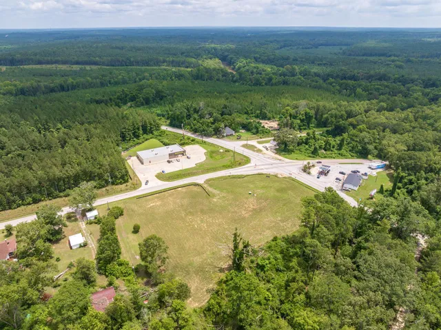 $419,000 | 473 Sc 39 Highway, Chappells, SC 29037