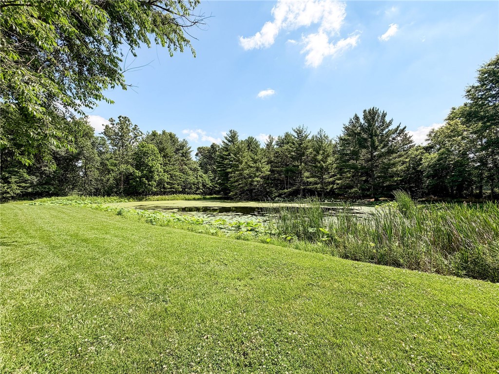16144 Spiketown Road Marshall, IL 62441 - Photo 45 of 48