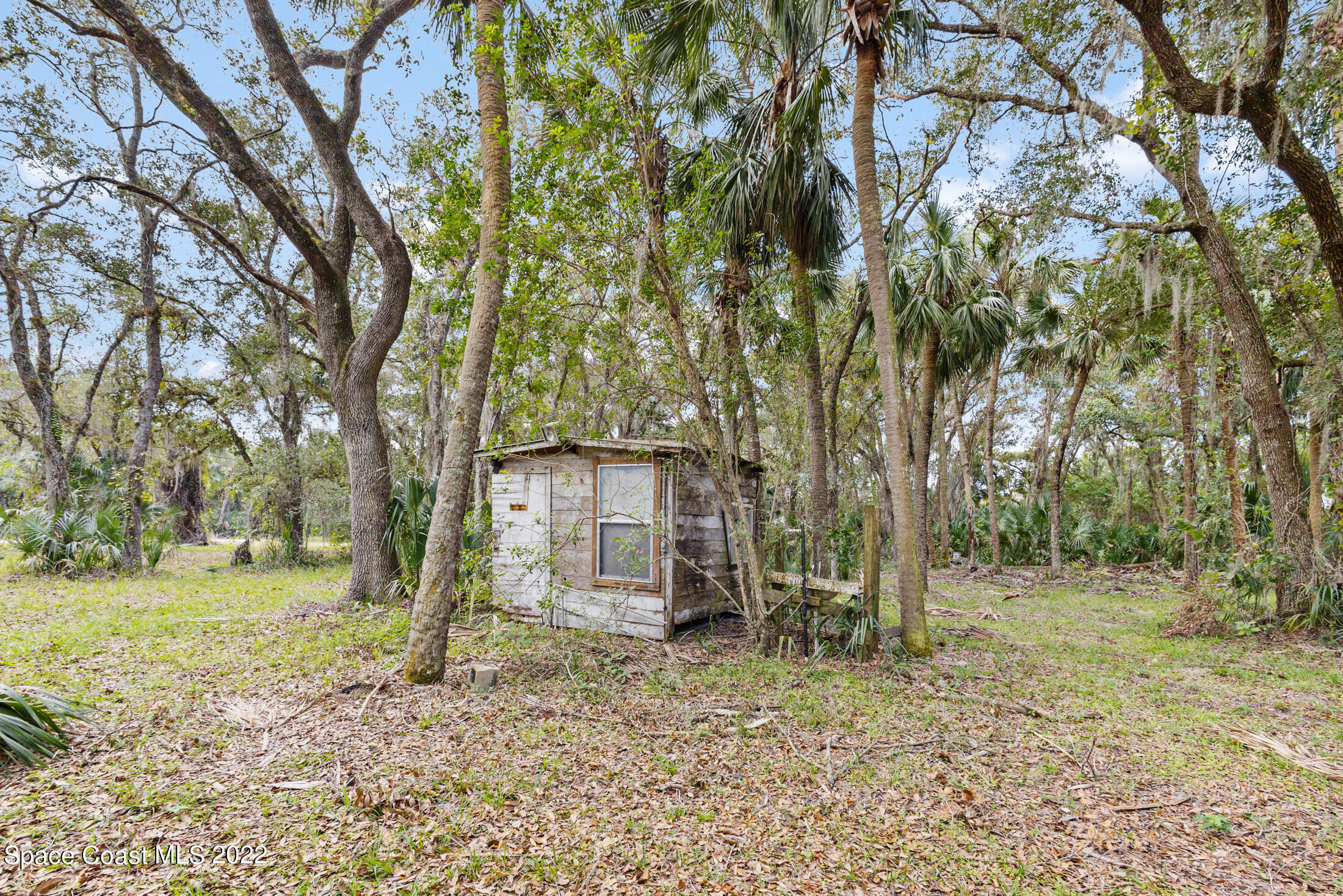 5480 Citrus Boulevard Cocoa, FL 32926 - Photo 35 of 43 a backyard of a house with lots of trees