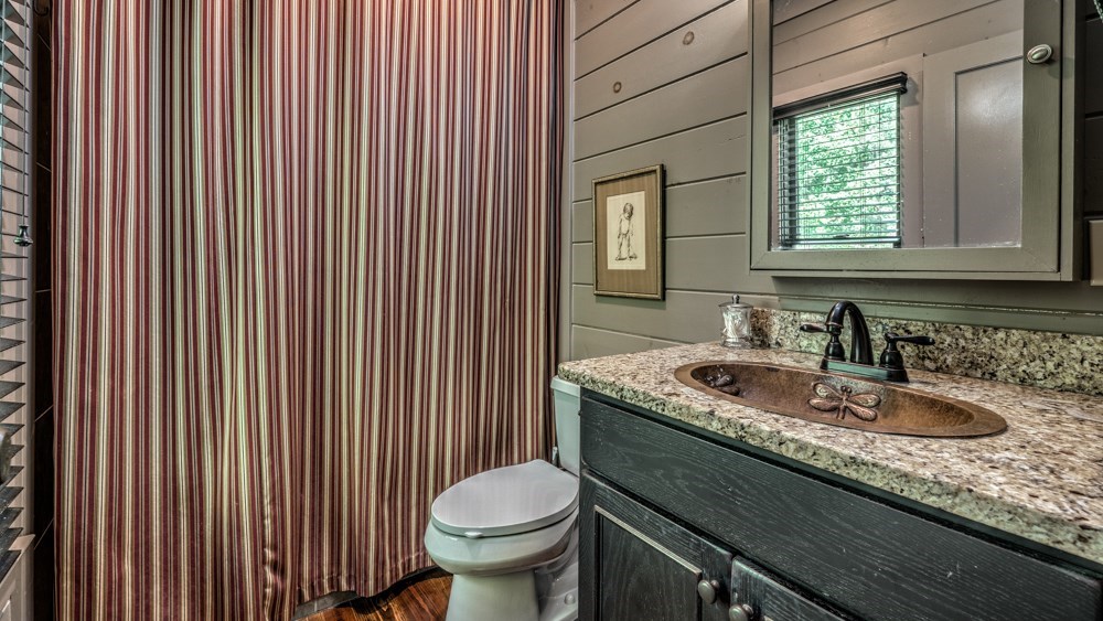 239 Ridge Top Drive Ellijay, GA 30536 - Photo 53 of 92 a bathroom with a granite countertop sink toilet and mirror