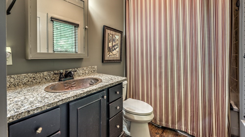 239 Ridge Top Drive Ellijay, GA 30536 - Photo 59 of 92 a bathroom with a granite countertop sink and a toilet