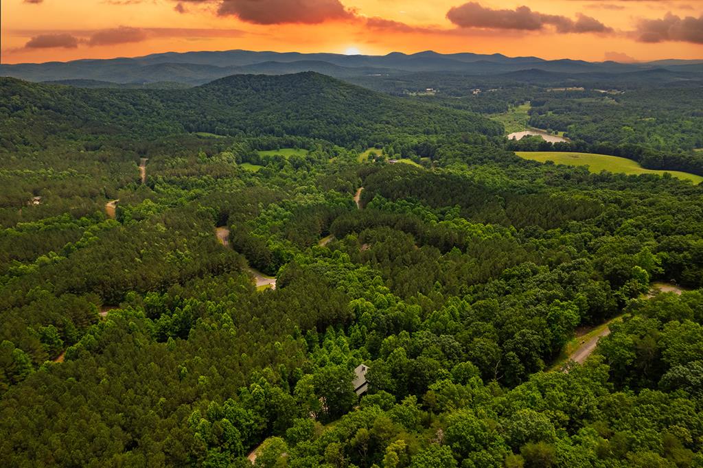 239 Ridge Top Drive Ellijay, GA 30536 - Photo 87 of 92 a view of a lush green hillside and houses