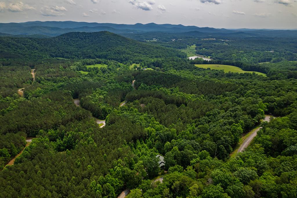 239 Ridge Top Drive Ellijay, GA 30536 - Photo 88 of 92 an aerial view of green landscape with trees houses and mountain view