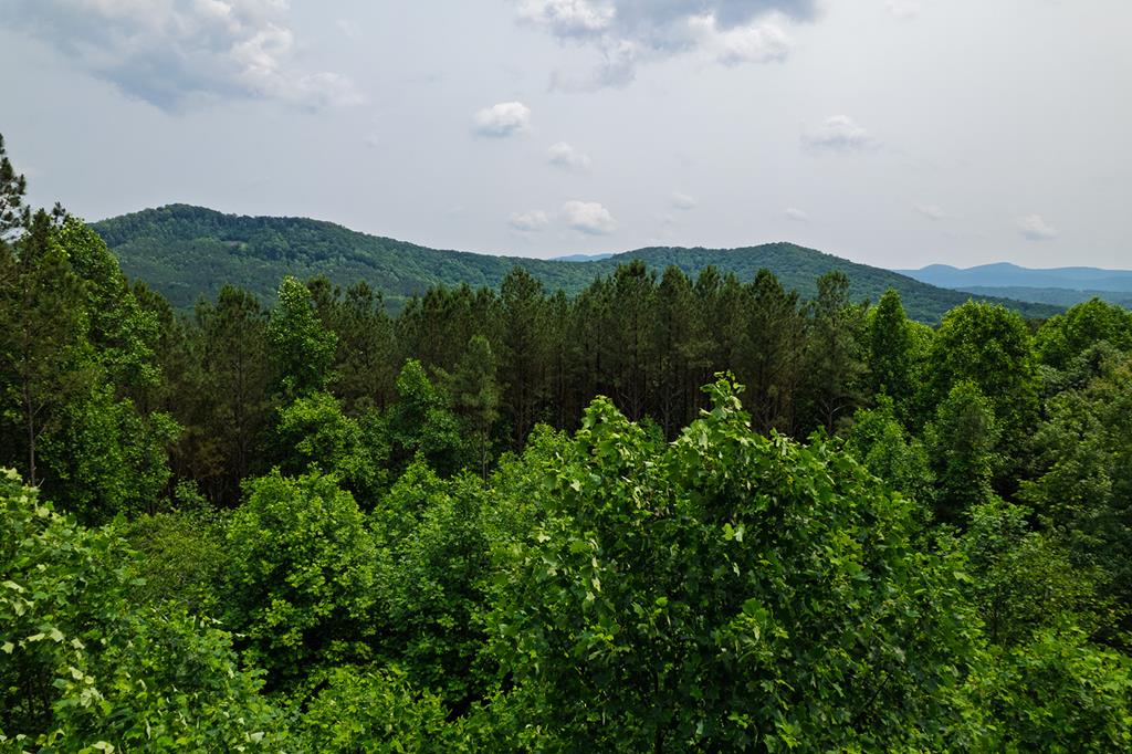239 Ridge Top Drive Ellijay, GA 30536 - Photo 91 of 92