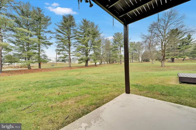 a view of a trees with a big yard