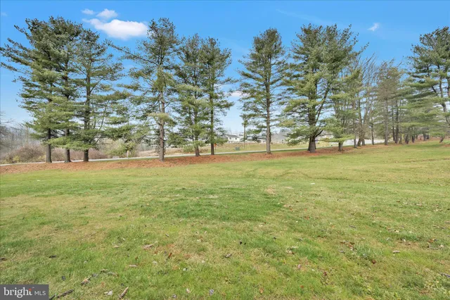 a view of a field with trees in the background