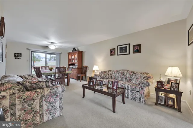 a living room with furniture and a couch