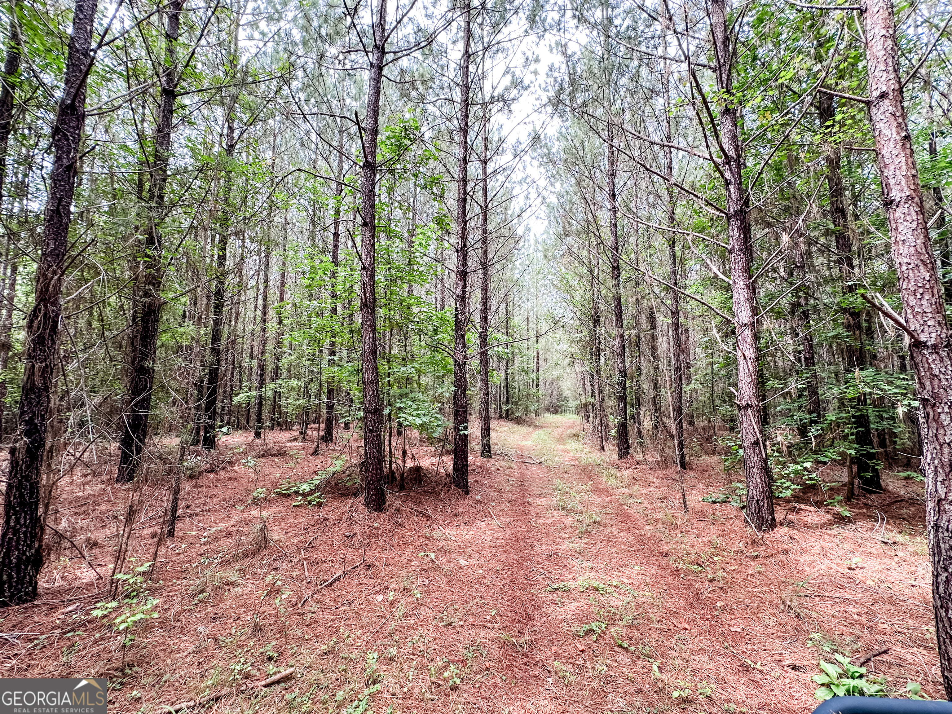 52.4-acres Goolsby Road, Unit 52 4 ACRES Monticello, GA 31064 - Photo 23 of 25