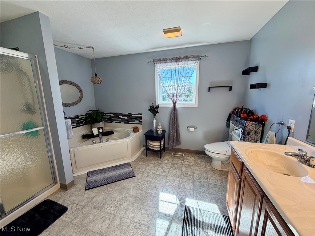 7374 Virginia Road Atwater, OH 44201 - Photo 25 of 49 Bathroom with vanity, a stall shower, and a bath
