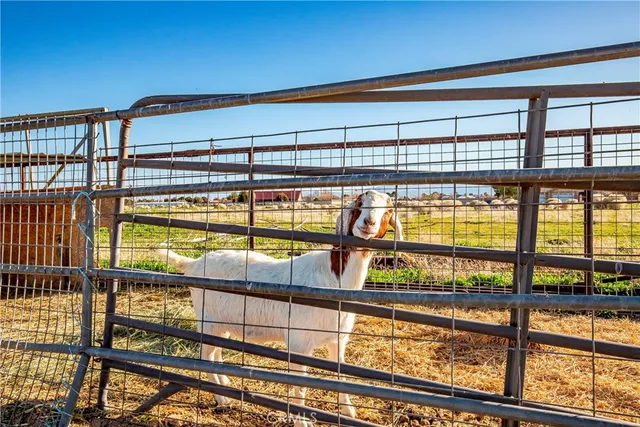 $675,000 | 8224 West W Avenue, Lancaster, CA 93536