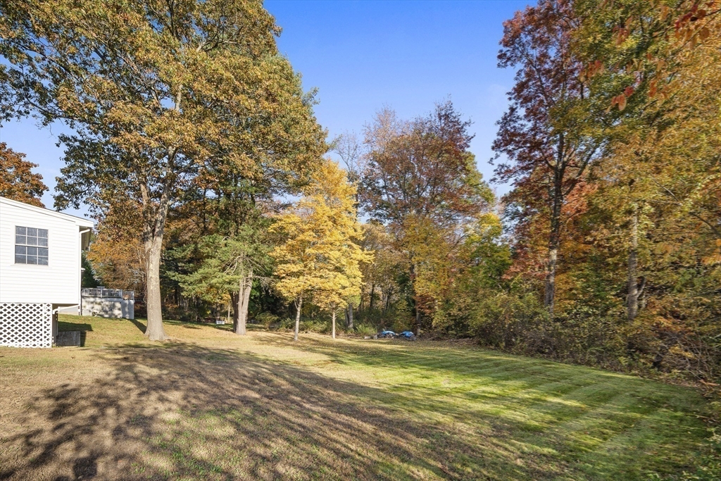 38 Sutcliffe Avenue Canton, MA 02021 - Photo 8 of 29 a view of a yard with plants and trees
