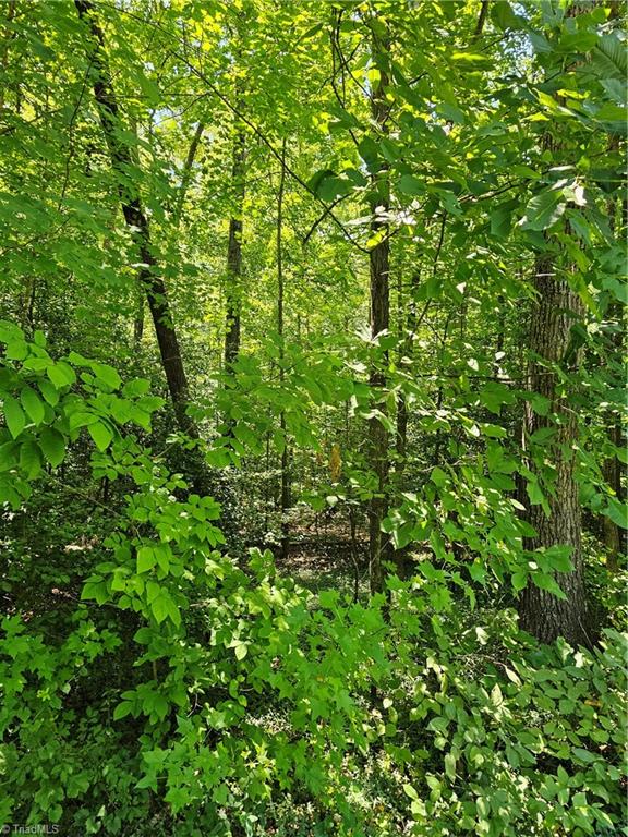 Lot 408 Pine Road Lexington, NC 27292 - Photo 2 of 3 Gallery Image 2