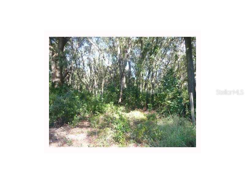 0 Sydney Road Plant City, FL 33566 - Photo 1 of 1 Land