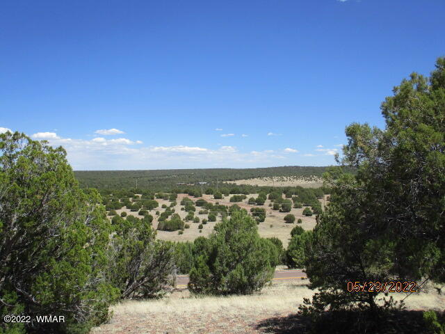 Tbd Pulp Mill Road Clay Springs, AZ 85923 - Photo 3 of 7