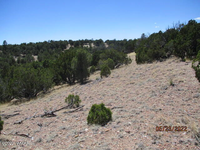 Tbd Pulp Mill Road Clay Springs, AZ 85923 - Photo 4 of 7