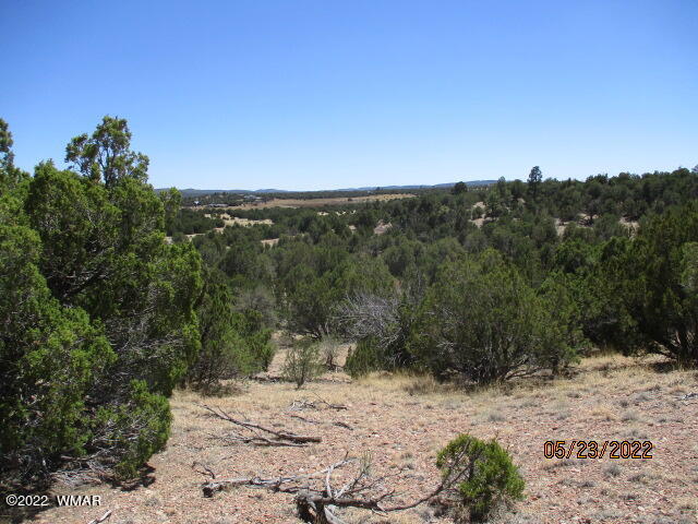 Tbd Pulp Mill Road Clay Springs, AZ 85923 - Photo 5 of 7