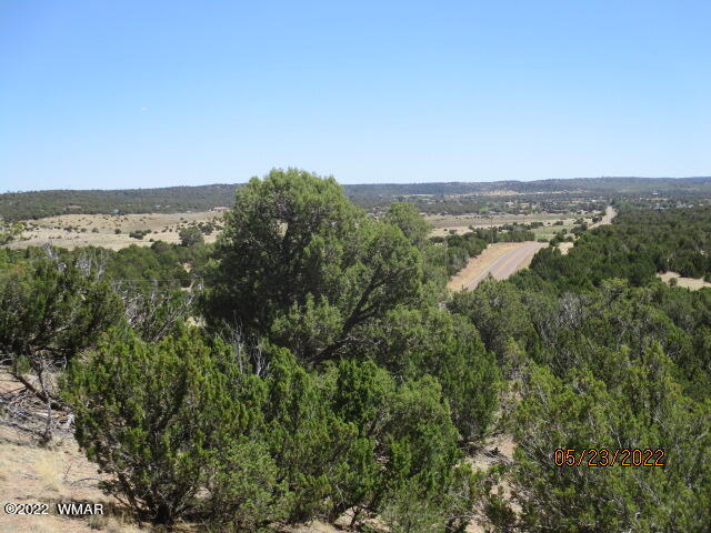 Tbd Pulp Mill Road Clay Springs, AZ 85923 - Photo 6 of 7