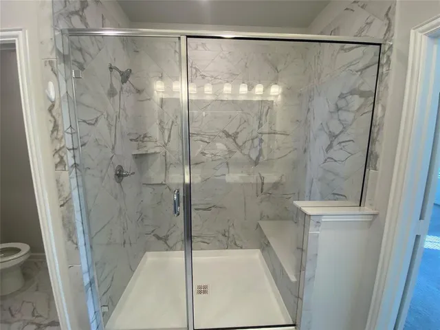 a bathroom with a shower and a toilet