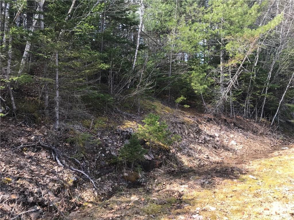 20 South Meadow Road Perry, ME 04667 - Photo 20 of 31 Another view of trees along back of lot
