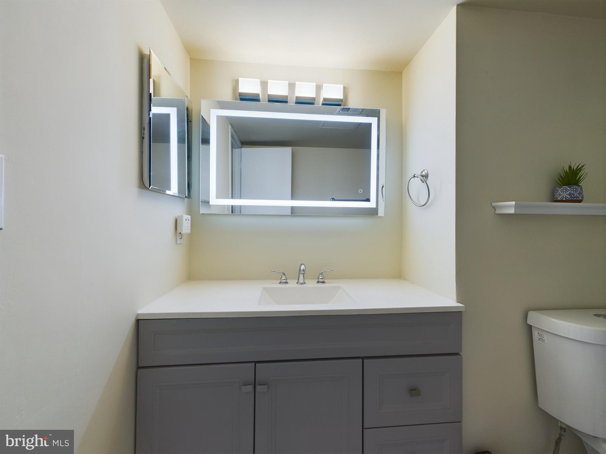 11566 Rolling Green Court, Unit 101 Reston, VA 20191 - Photo 29 of 38 a bathroom with a sink and a mirror