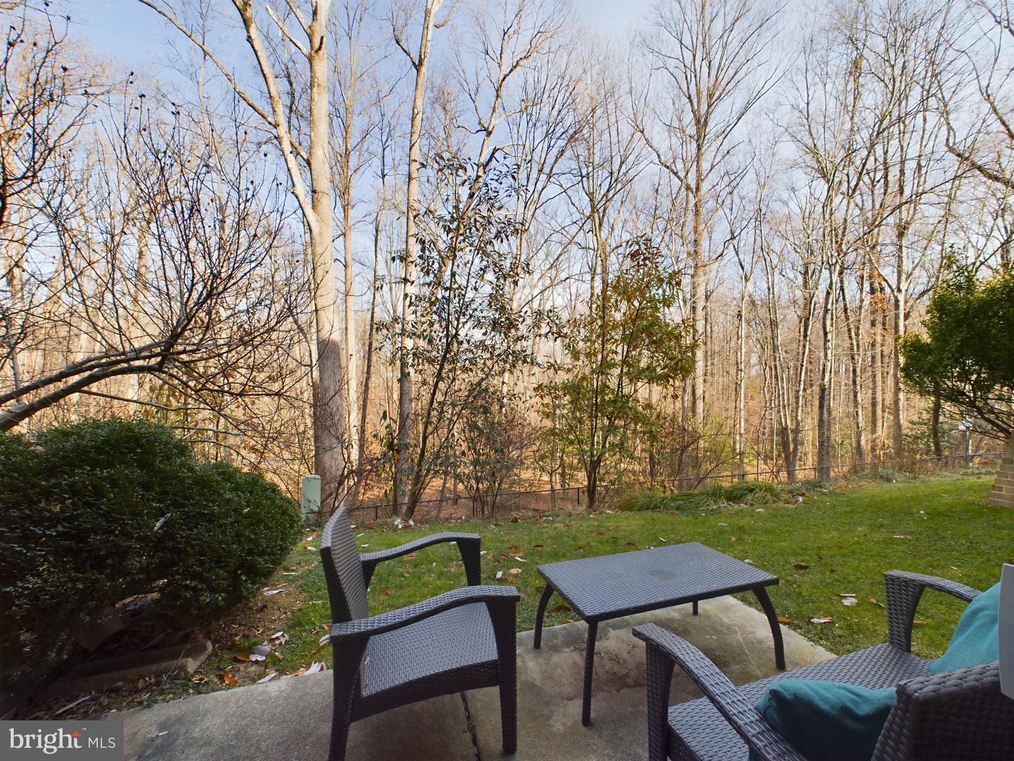 11566 Rolling Green Court, Unit 101 Reston, VA 20191 - Photo 8 of 38 a view of a two chairs in a yard