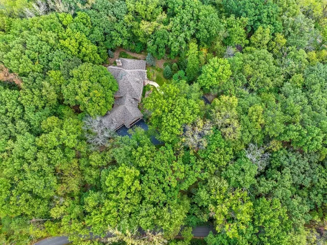 a view of a yard with plants