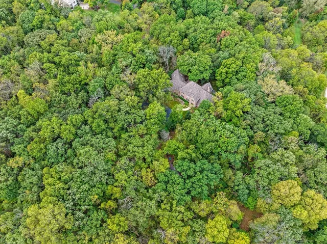 a view of a house with a tree