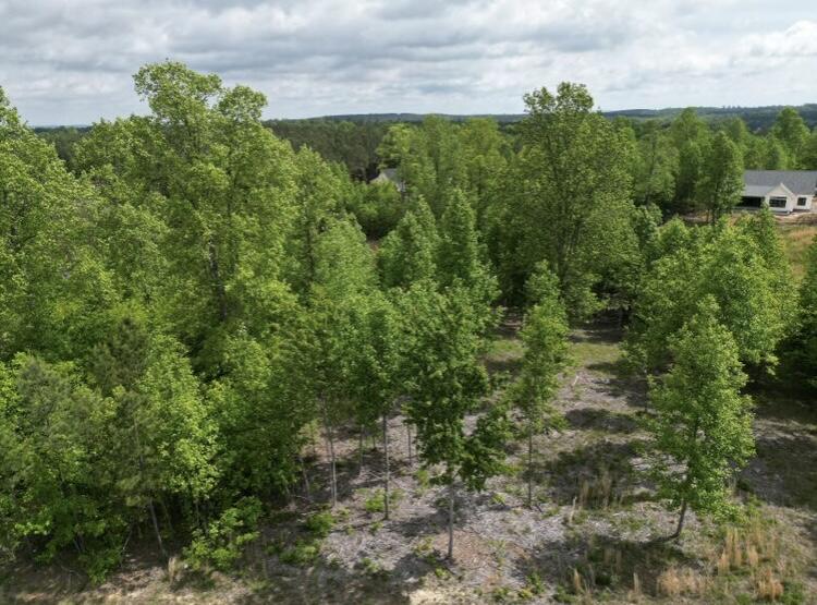 260 Cherokee Path, Unit JF285 Jasper, TN 37347 - Photo 1 of 35 3039B985-E1D9-4BB5-880B-7BC6FDD1C2B6