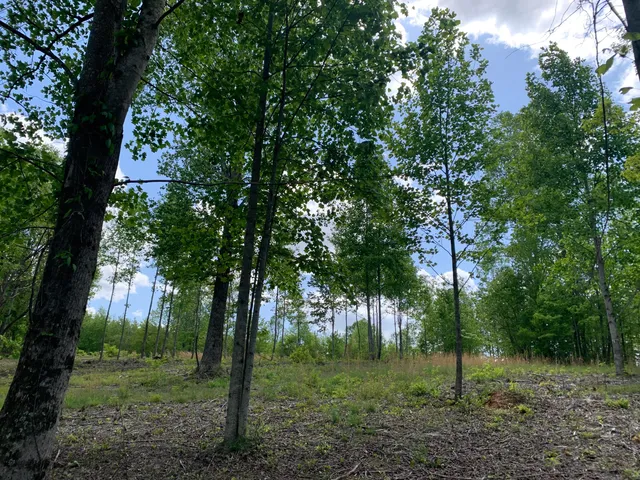 $89,000 | 260 Cherokee Path, Unit JF285, Jasper, TN 37347