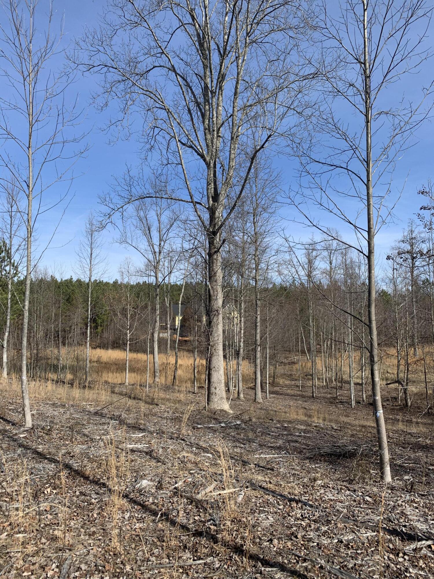 260 Cherokee Path, Unit JF285 Jasper, TN 37347 - Photo 9 of 35 AC594FF6-C55C-4D8C-B8D1-BB95D0F08C4D