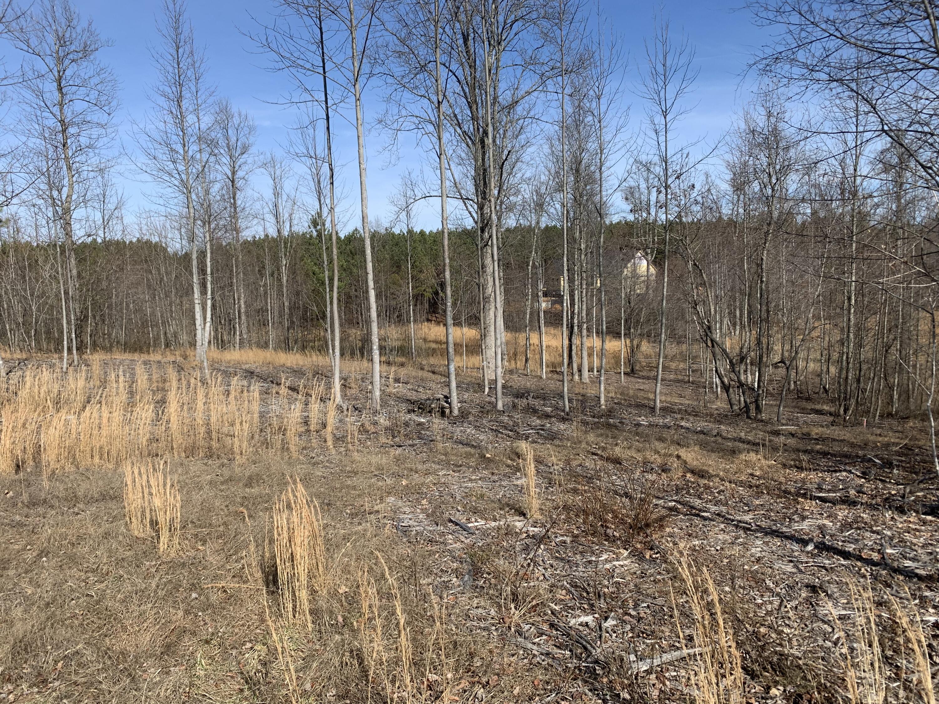 260 Cherokee Path, Unit JF285 Jasper, TN 37347 - Photo 10 of 35 AFBBCC06-BDF4-4BF3-A595-DDC0AD5BCDF4