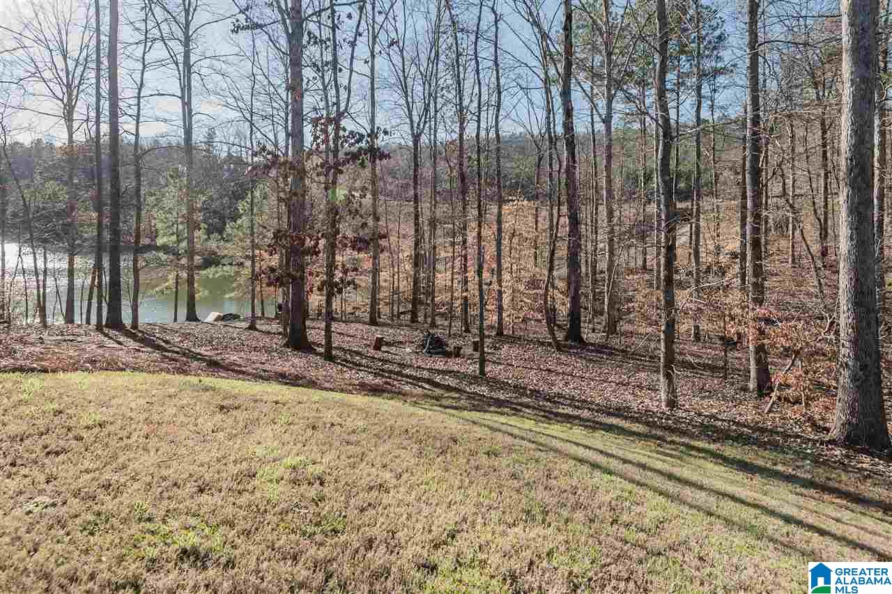 117 Fallow Circle Chelsea, AL 35043 - Photo 37 of 47