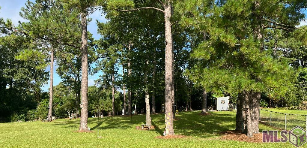 278 St Clair Road Boyce, LA 71409 - Photo 6 of 25 Gallery Image 6