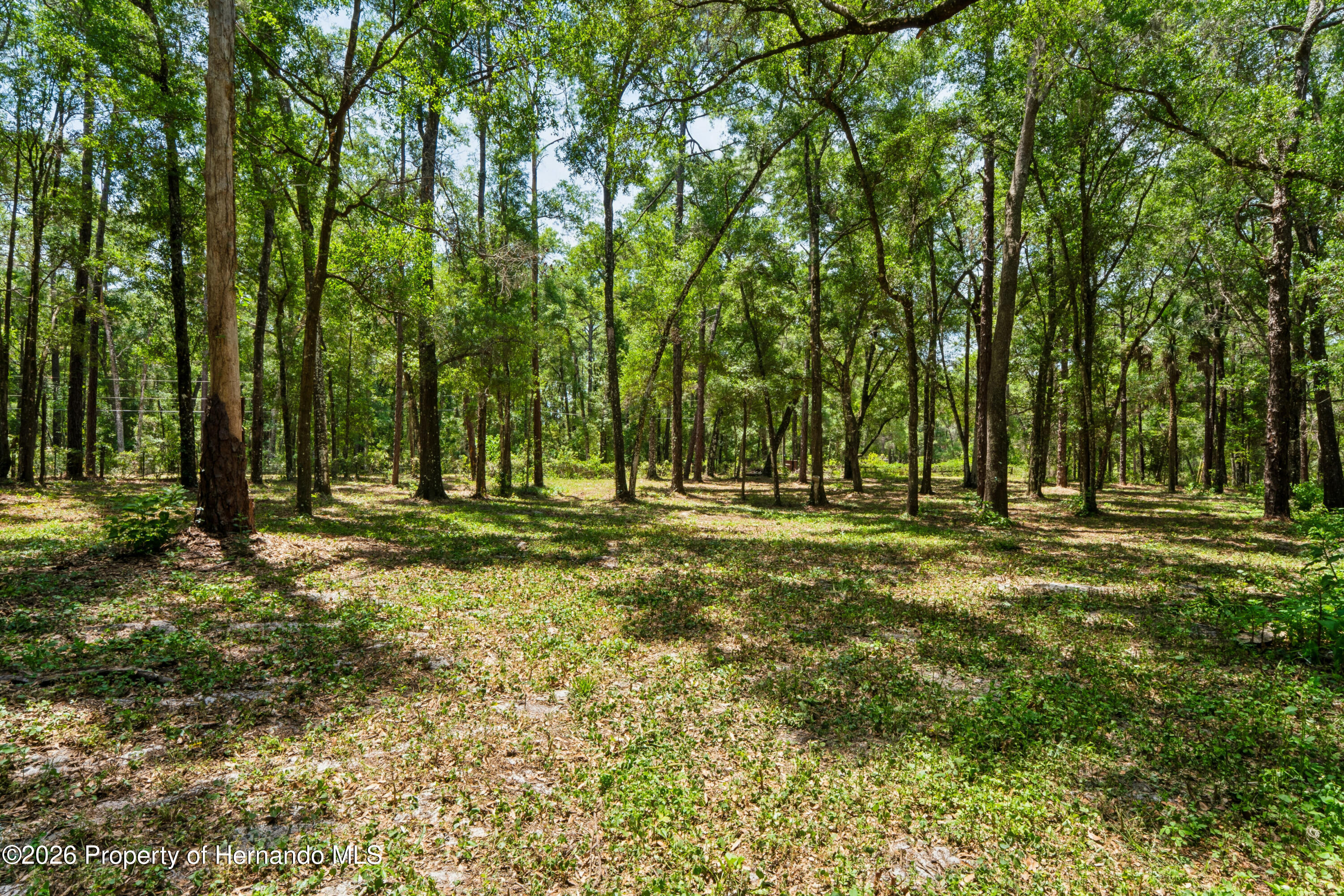 16225 Bonzai Trail Spring Hill, FL 34613 - Photo 73 of 81