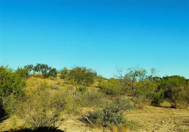 a view of a yard with a tree