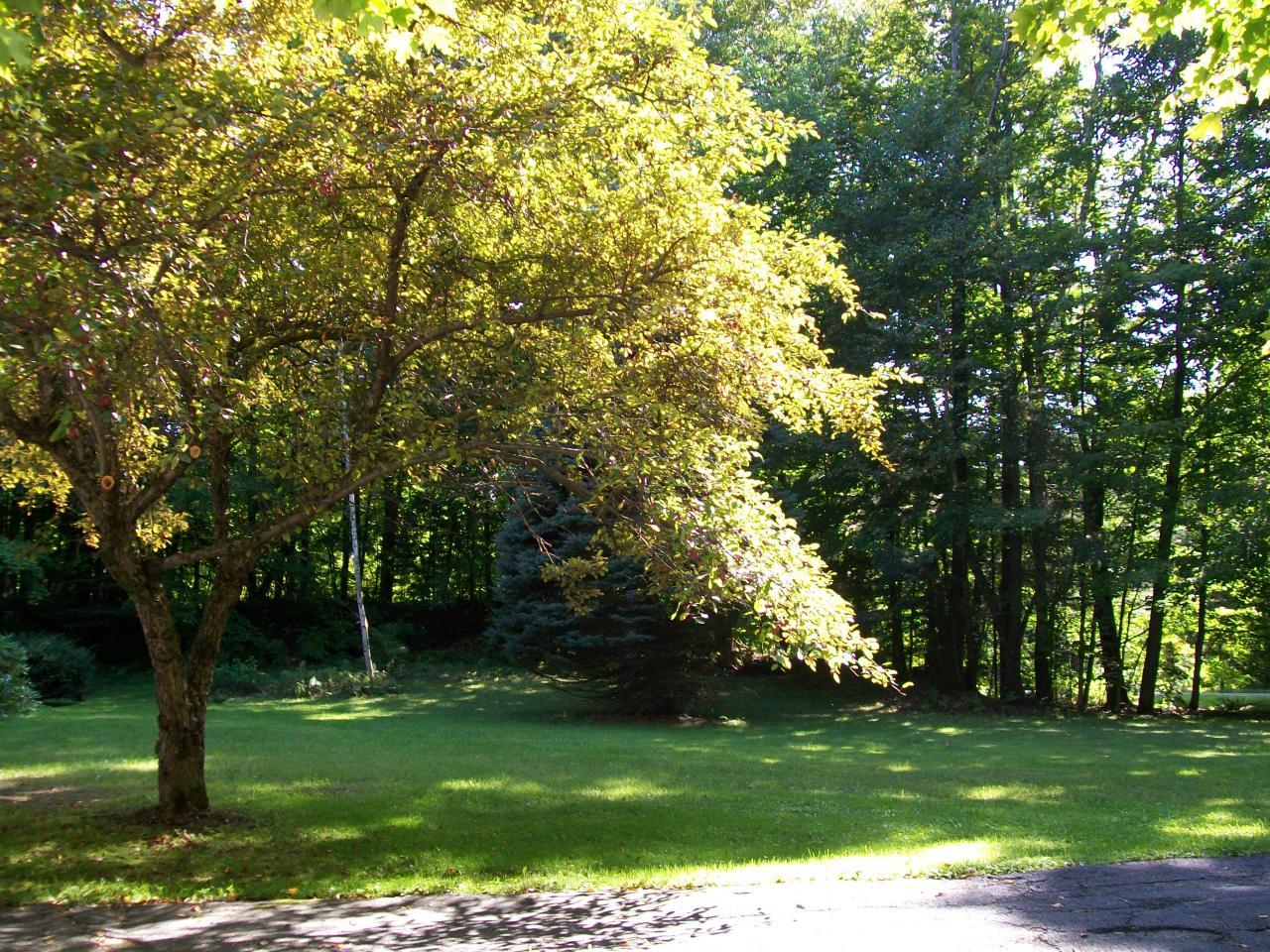 2017 Swamp Road Richmond, MA 01254 - Photo 15 of 16 a view of a park