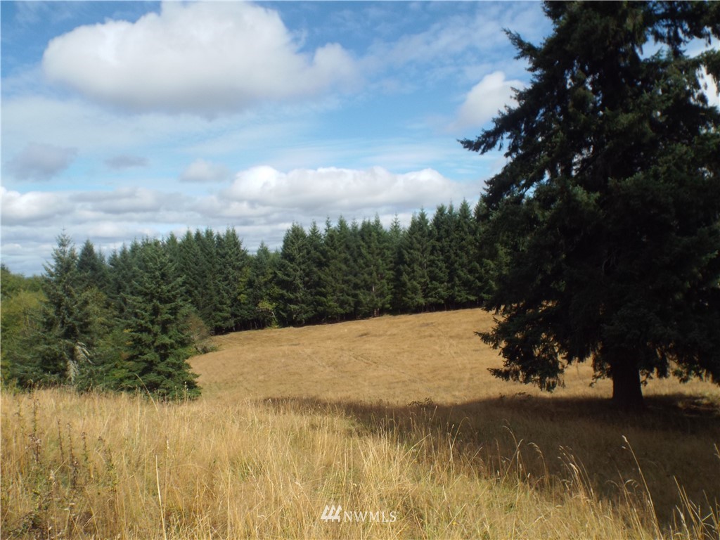 1-lot Penning Road Chehalis, WA 98532 - Photo 1 of 5