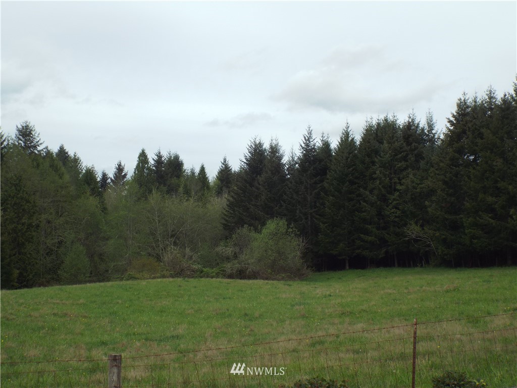 1-lot Penning Road Chehalis, WA 98532 - Photo 3 of 5