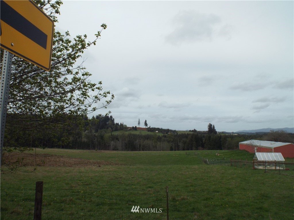 1-lot Penning Road Chehalis, WA 98532 - Photo 5 of 5