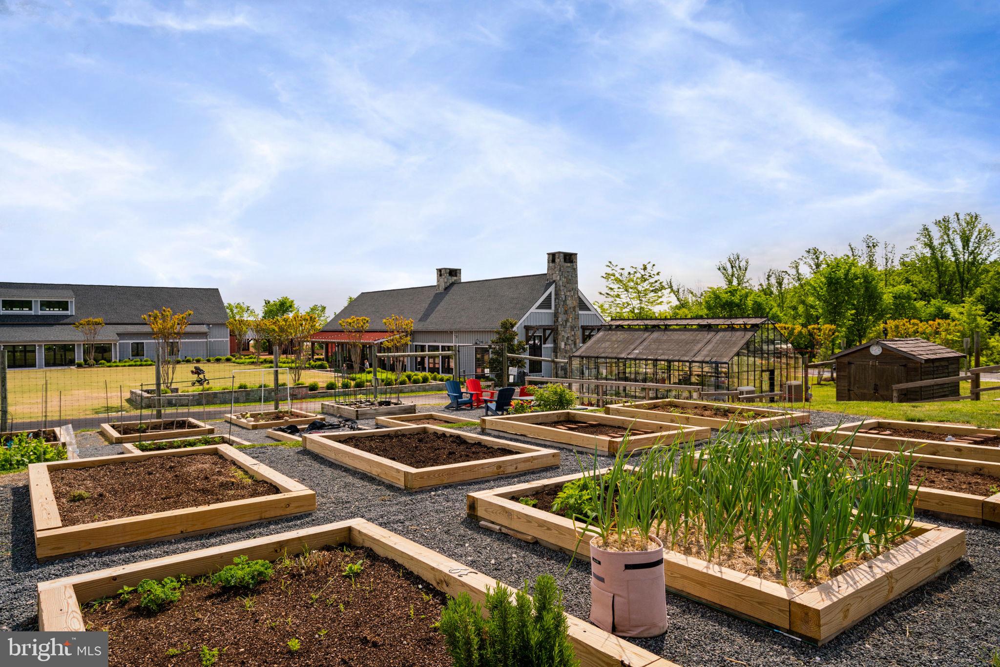 1766 Hickory Woods Road Dumfries, VA 22026 - Photo 55 of 78 Community Gardens