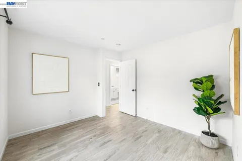 a view of a backyard with large trees and wooden fence