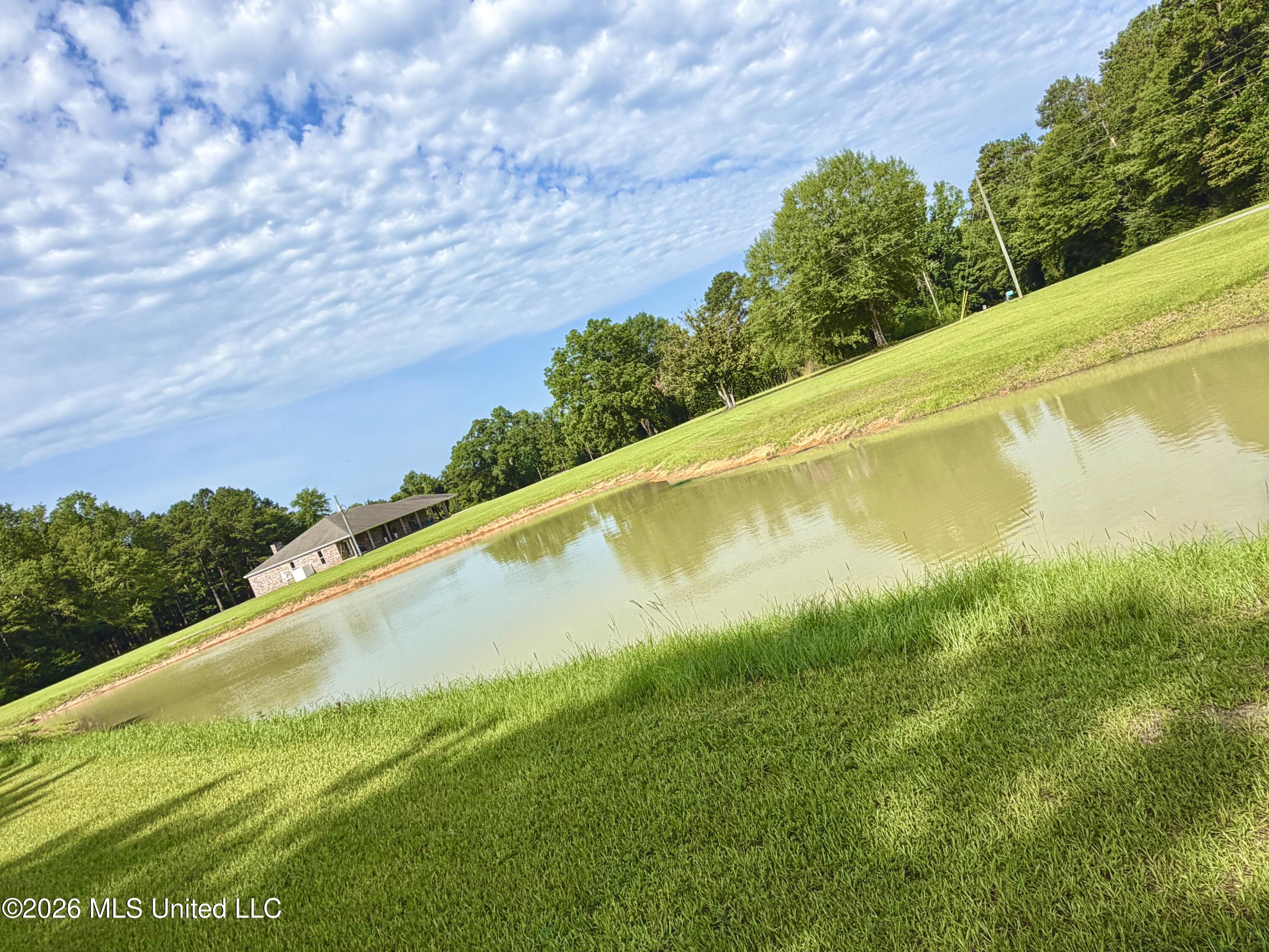 464 Goss Bunker Hill Road Columbia, MS 39429 - Photo 26 of 32 JunePond4