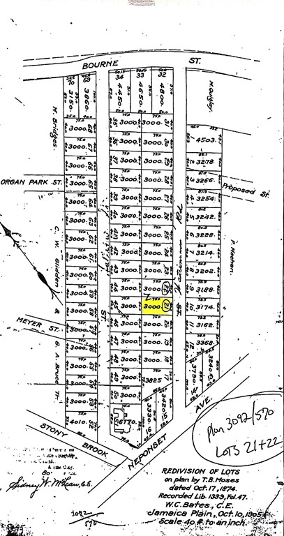 24 Waterman Road Boston, MA 02131 - Photo 3 of 4