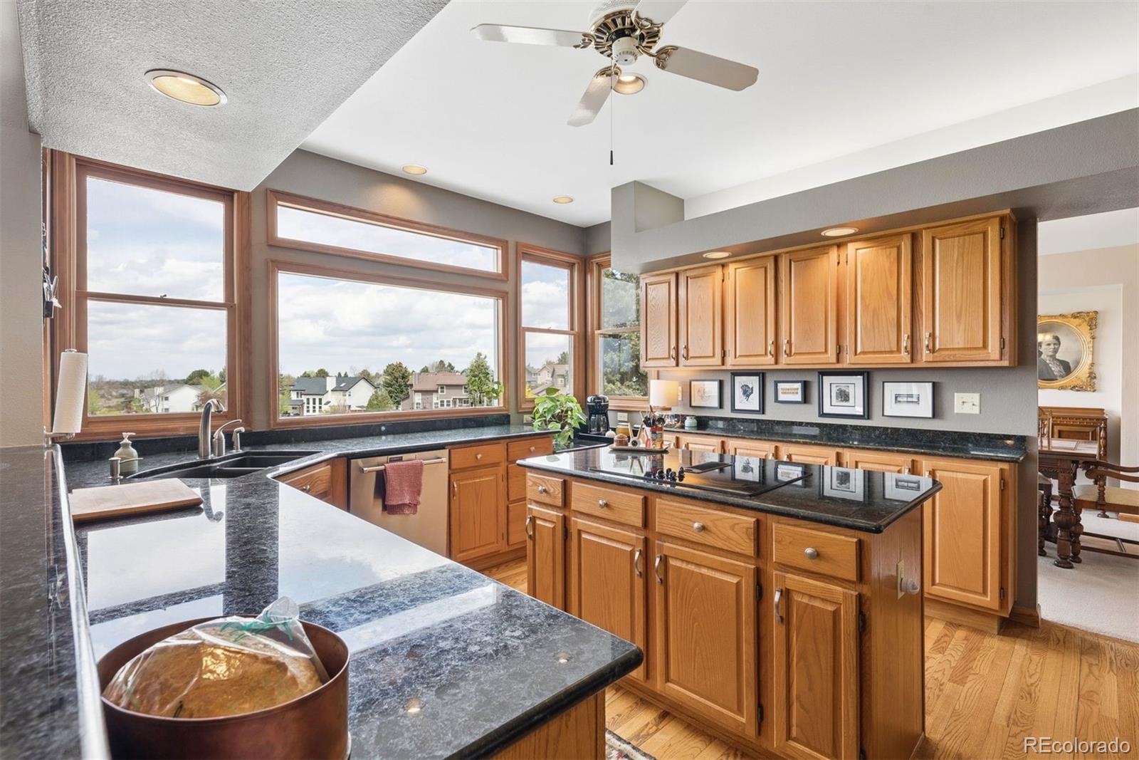 9510 Harford Court Highlands Ranch, CO 80126 - Photo 12 of 45