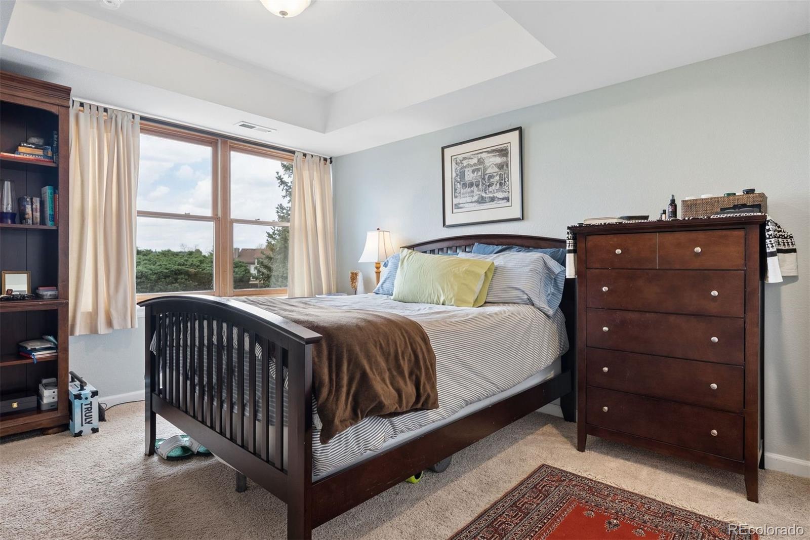 9510 Harford Court Highlands Ranch, CO 80126 - Photo 36 of 45